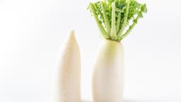 「部位によって味が変わるんだ！？」大根をおいしく食べるために知りたい”秘密”とは... | クラシル