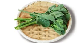 のらぼう菜とは？旬の時期や特徴、菜の花との違いやおすすめレシピを紹介 | クラシル