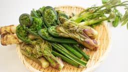 春の山菜とは？種類や旬の時期、特徴、おいしい食べ方を解説 | クラシル