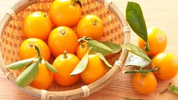 きんかんとは？特徴や旬の時期、食べ方のポイントを解説 | クラシル