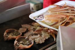 【2025年開催】日本海を代表する松葉がに「浜坂みなとカニ祭り」 見どころまとめ