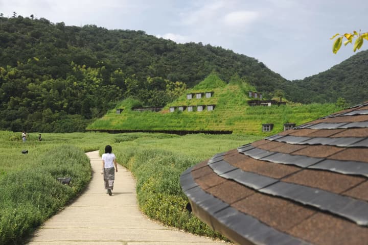 琵琶湖の発酵文化を味わう美食の旅