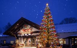 山梨県北杜市で楽しむ、フォットジェニックなクリスマススポット4選