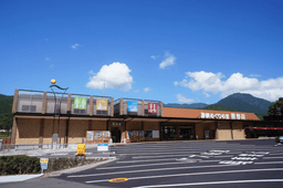 【熊野旅行の途中で】瀞峡めぐりの里熊野川