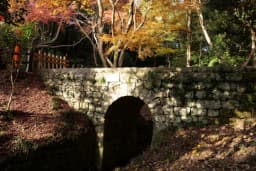 【2025】徳島・鳴門の紅葉おすすめスポット4選｜見頃・見どころ・アクセス案内