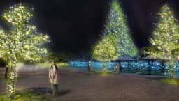 【2025】三重県松阪市で冬のイルミネーション！松阪の一夜inクリスマスナイト