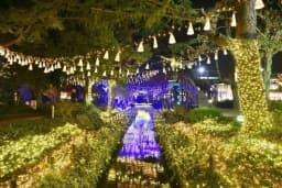 岡山デートスポット【冬】｜夜景・温泉・いちご狩り・牡蠣グルメ