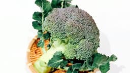 紫色の”ブロッコリー”は腐ってる?それともおいしいサイン!?「知れてよかった...!」 | クラシル