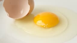 “卵”を割ったら血が混じっていた!食べても大丈夫?気になる疑問に「そうだったのか」「早く知りたかった!」 | クラシル