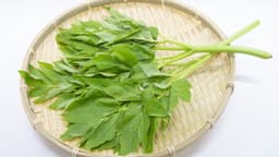明日葉(アシタバ)ってどんな野菜?産地や味の特徴、使い方についても解説! | クラシル