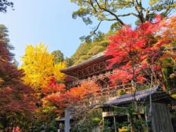 【姫路市】『書写山圓教寺』ロープウェイで気軽に行ける紅葉・新緑が美しいスポット