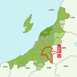 魚沼市について