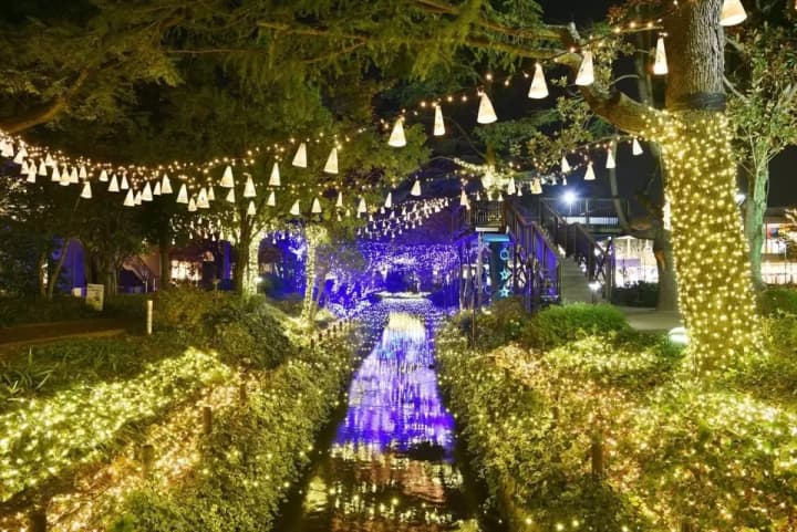 岡山デートスポット【冬】|夜景・温泉・いちご狩り・牡蠣グルメ
