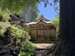 【コース紹介】バスで行く!隠岐・西ノ島「焼火神社」ハイキングガイド